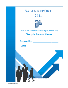 sales report template