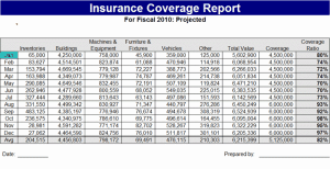 Insurance Report template