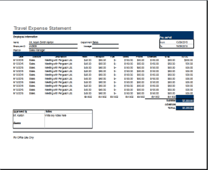 Travel Expense Report template