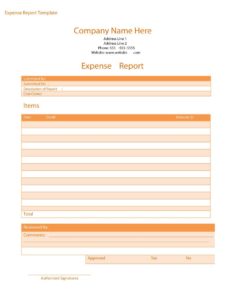 Free Expense Report Template from www.samplestemplates.org